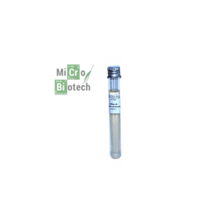 gélose de conservation en tubes