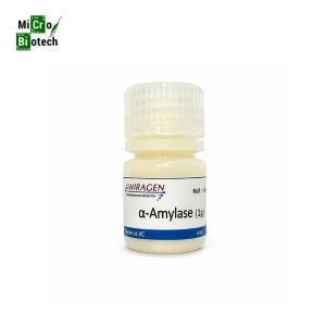 α-Amylase d'Aspergillus oryzae