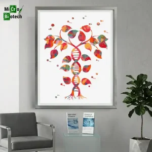 Tableaux décoratifs pour laboratoire - ADN ME113
