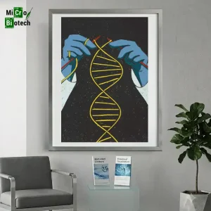 Tableaux décoratifs pour laboratoire - ADN