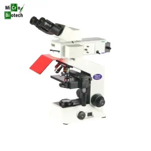 Microscope binoculaire LED à fluorescence - MAGNUS