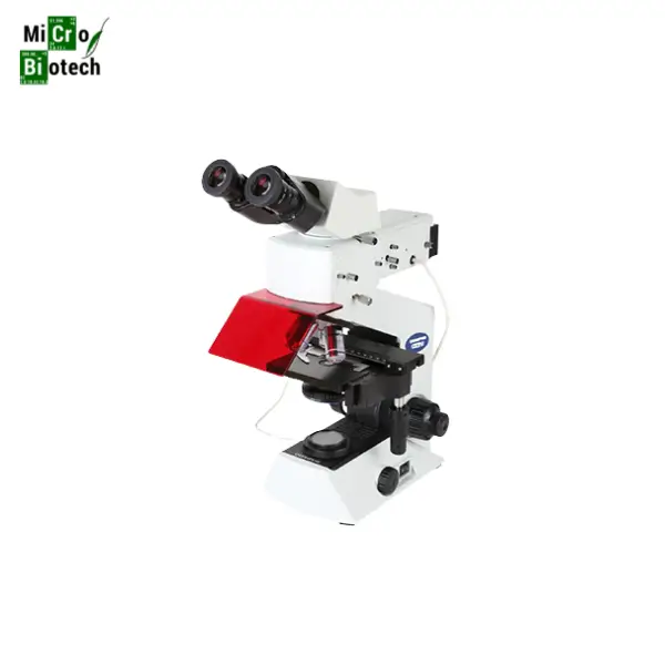 Microscope binoculaire LED à fluorescence - MAGNUS – Image 2